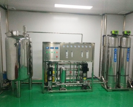 口罩車間0.5噸雙級反滲透純化水設備